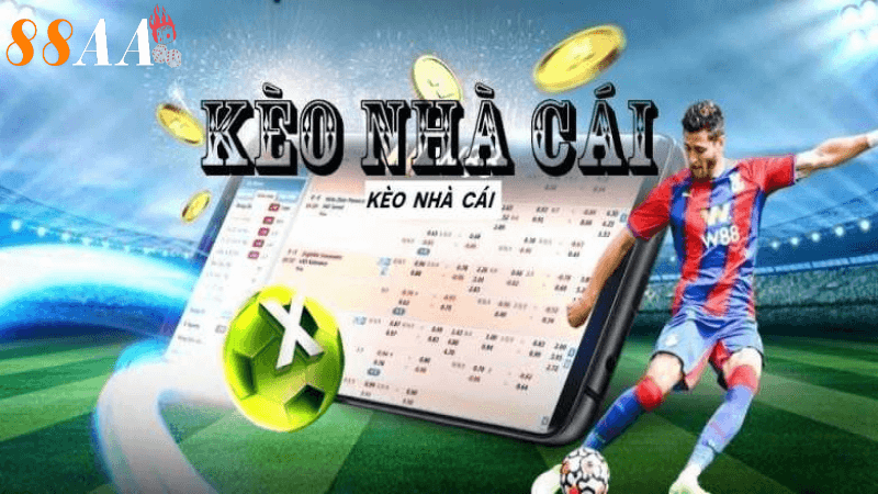 Theo dõi các tin tức và phân tích từ chuyên gia