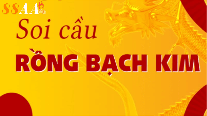 Rồng bạch kim 247